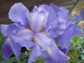 DSCN0370.JPG