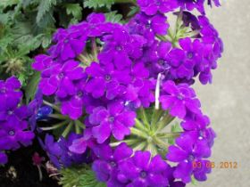 DSCN0375.JPG