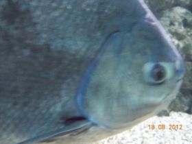 DSCN0499.JPG