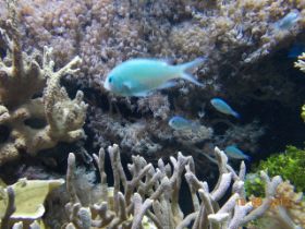 DSCN0512.JPG