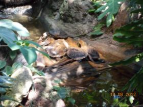 DSCN0578.JPG