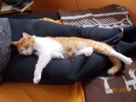 DSCN0385.JPG